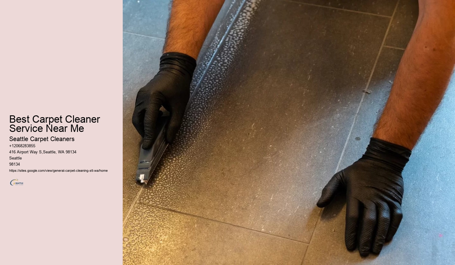 Best Carpet Cleaner Service Near Me