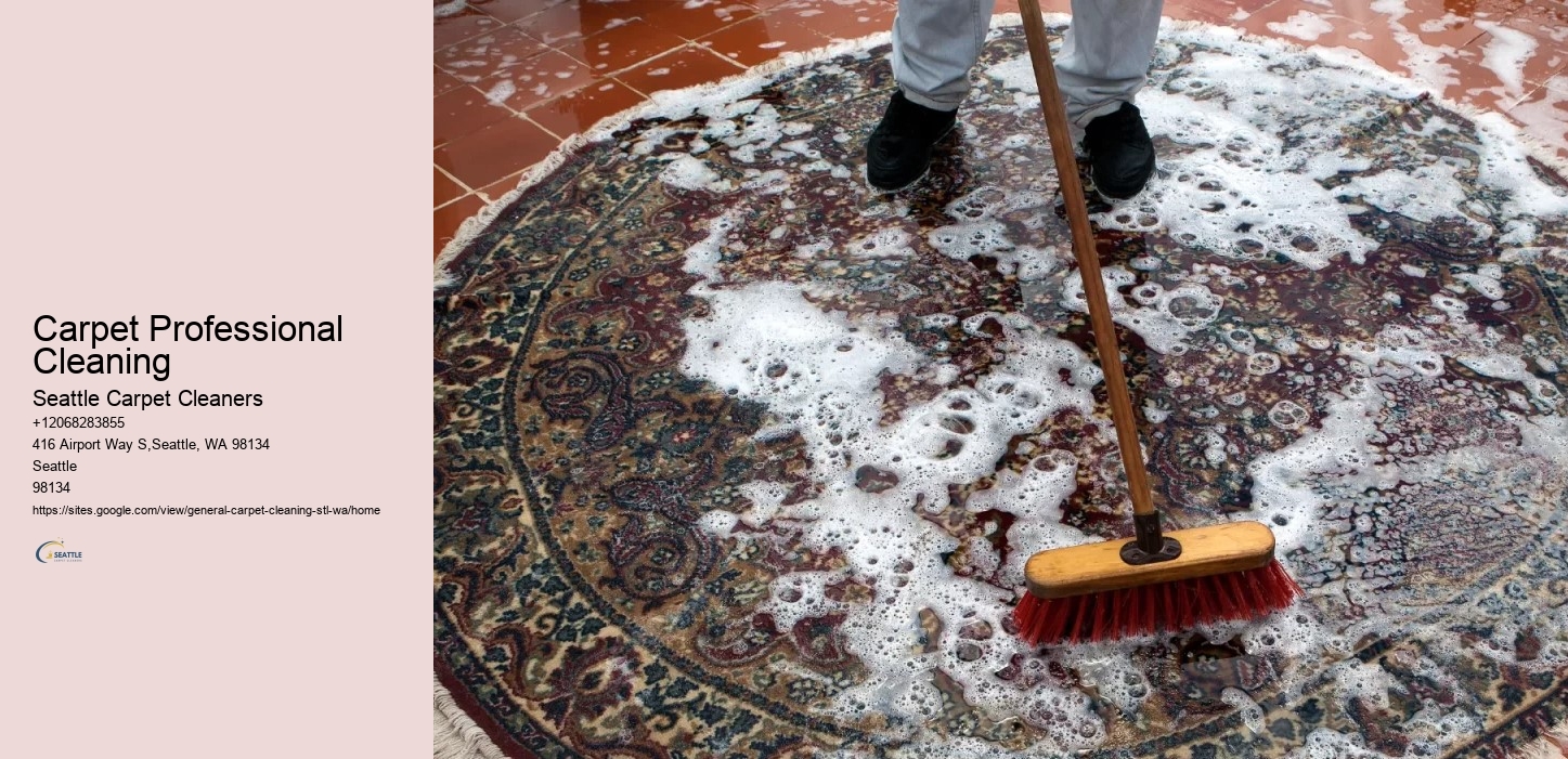 Carpet Professional Cleaning
