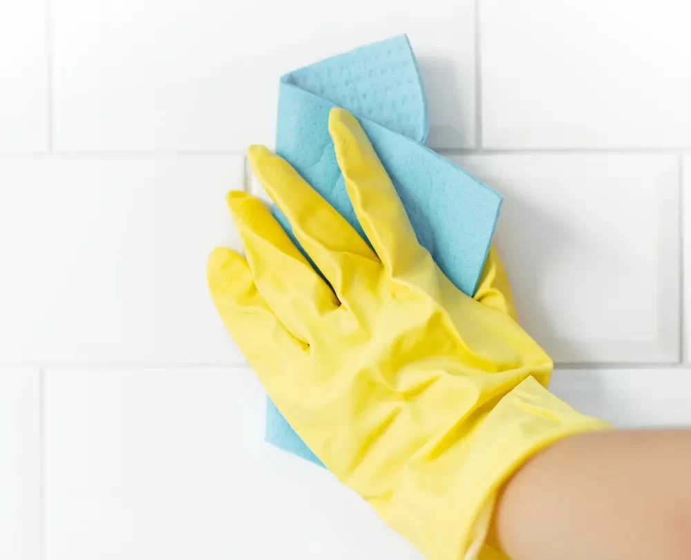 Professional Deep Carpet Cleaning Near Me