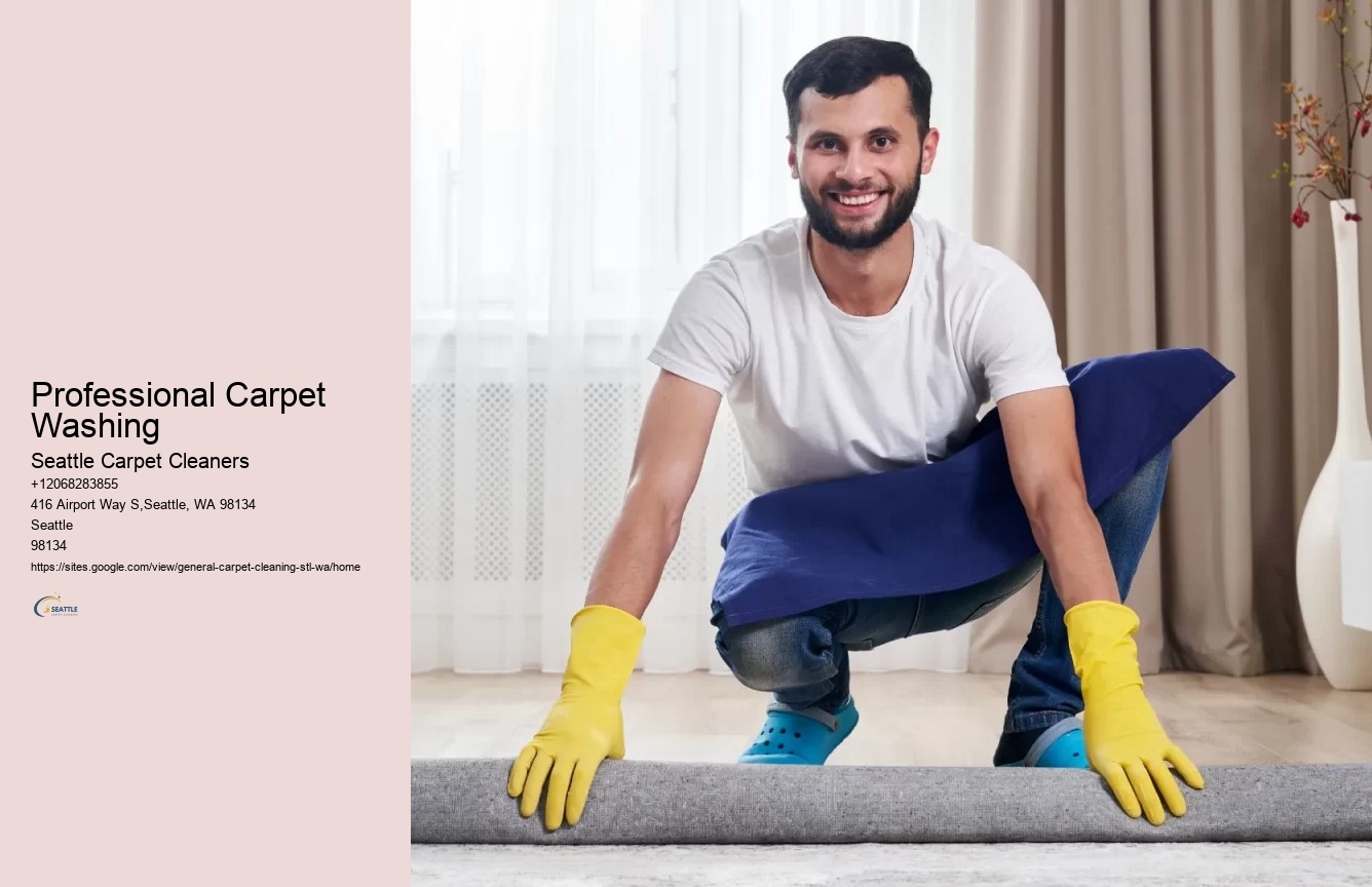 Professional Carpet Washing