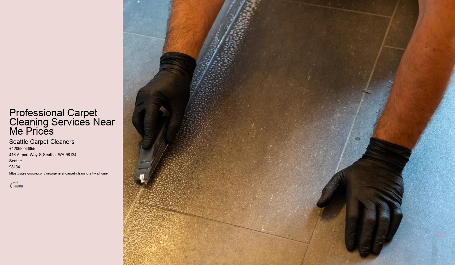 Professional Carpet Cleaning Services Near Me Prices