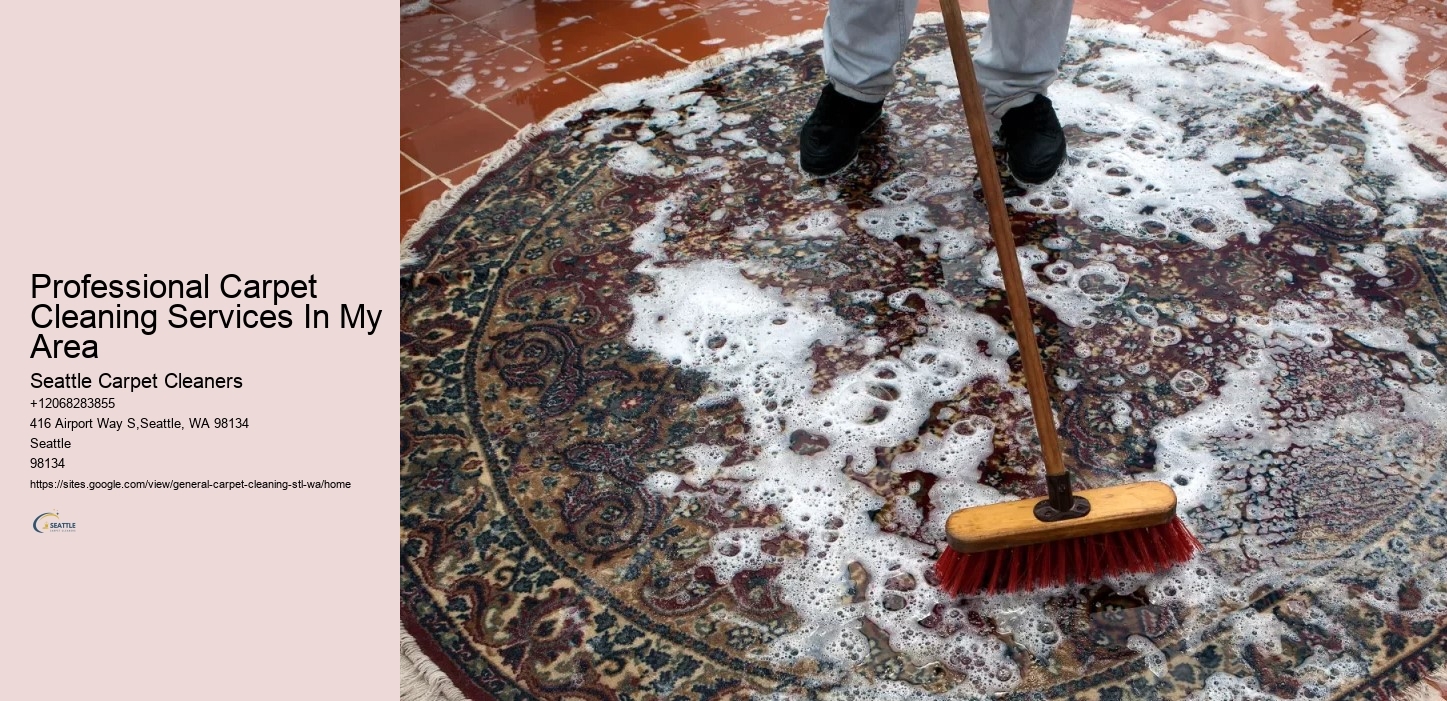 Professional Carpet Cleaning Services In My Area