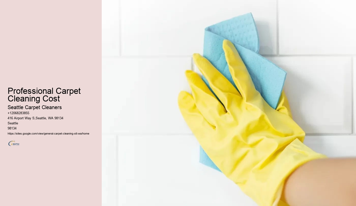 Professional Carpet Cleaning Cost