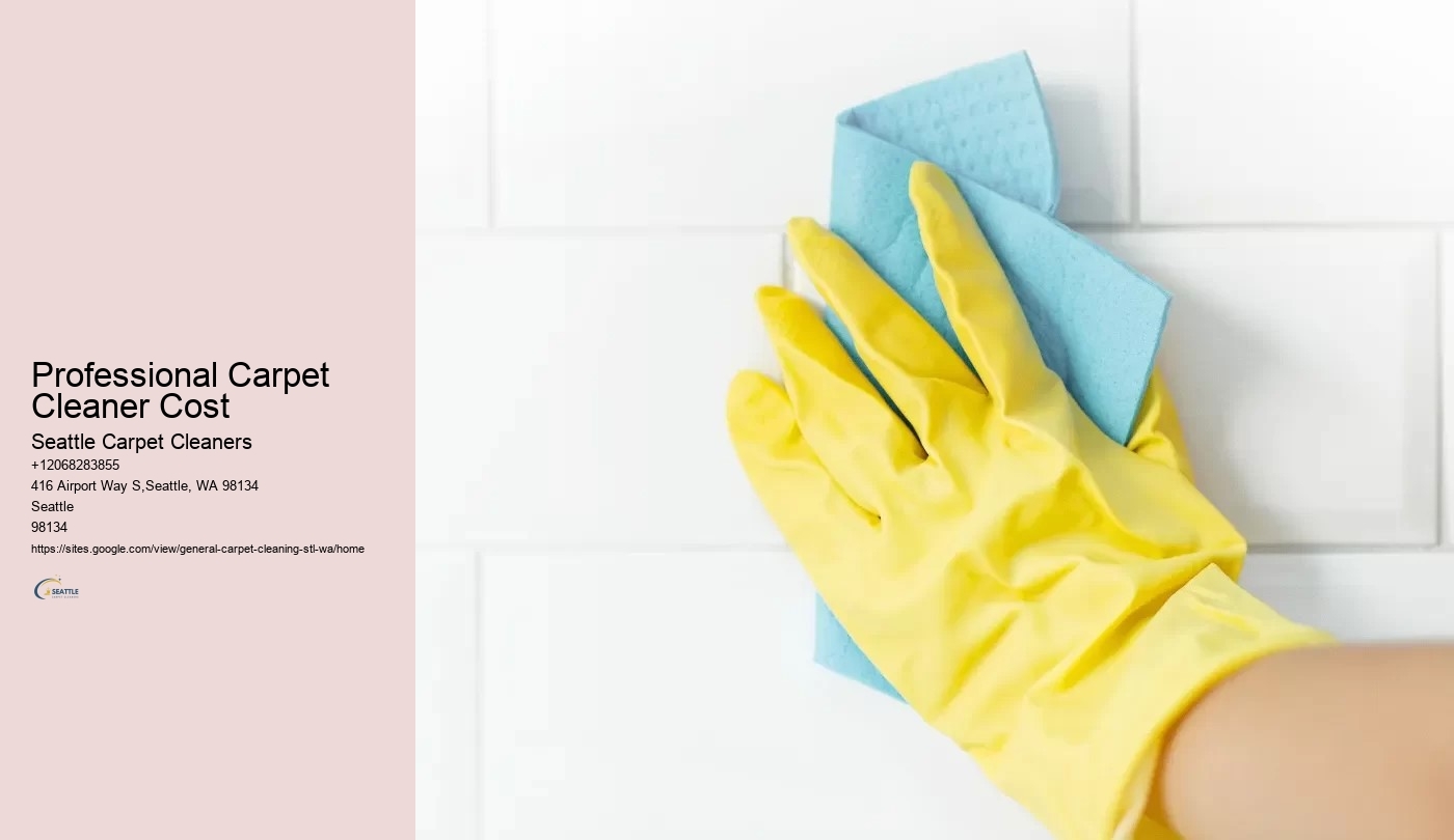 Professional Carpet Cleaner Cost