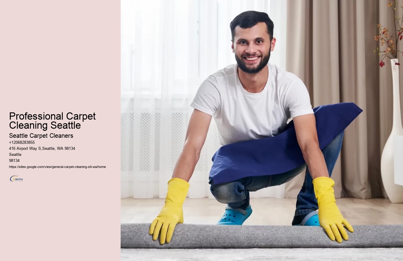 Professional Carpet Cleaning Seattle