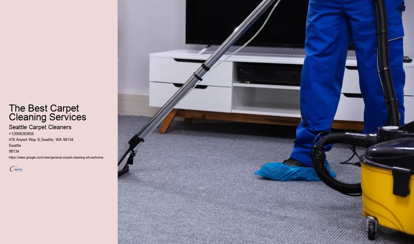 The Best Carpet Cleaning Services