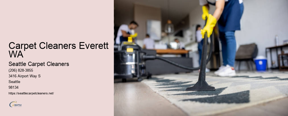 Seattle Professional Carpet Cleaning
