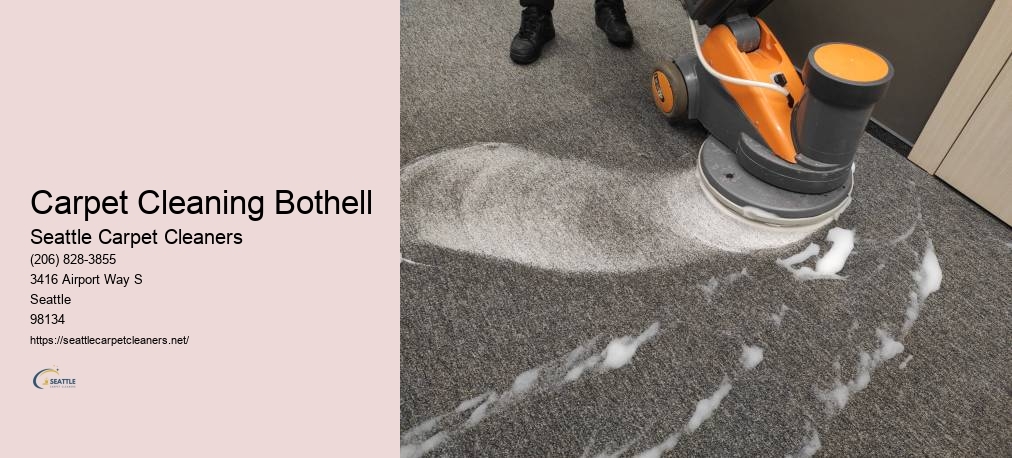 Professional Carpet Cleaners Seattle WA