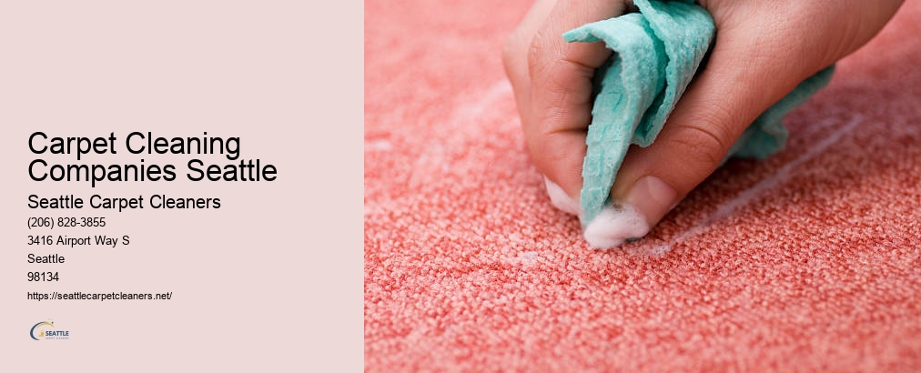 Seattle Rug Cleaners