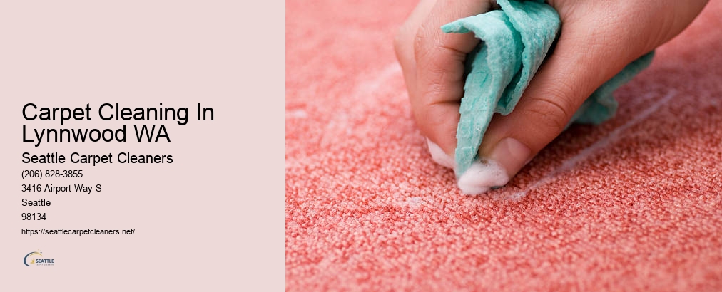 Seattle Professional Carpet Cleaning