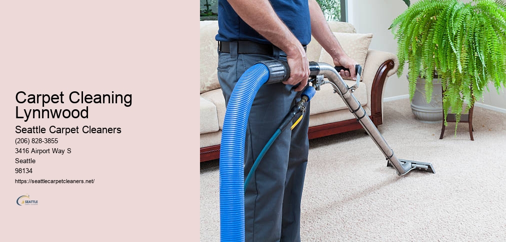 Best Carpet Cleaners In Seattle