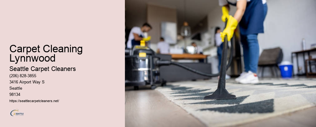 Seattle Professional Carpet Cleaning