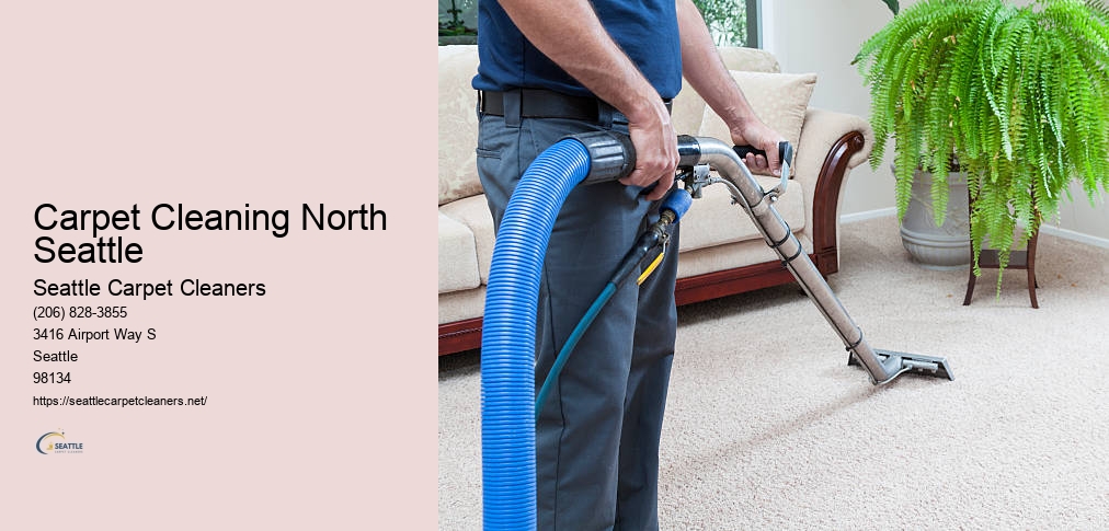 Professional Carpet Cleaners Seattle WA