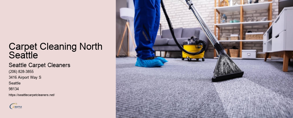 Shoreline Carpet Cleaning
