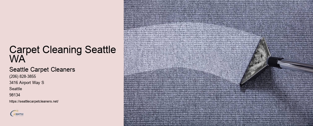 Amazing Carpet Cleaning Seattle
