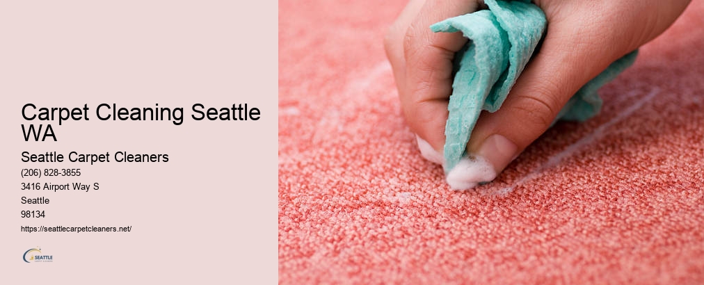 Best Carpet Cleaning Seattle