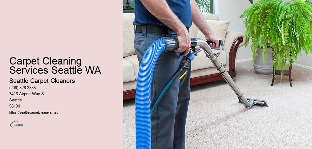 Seattle Professional Carpet Cleaning