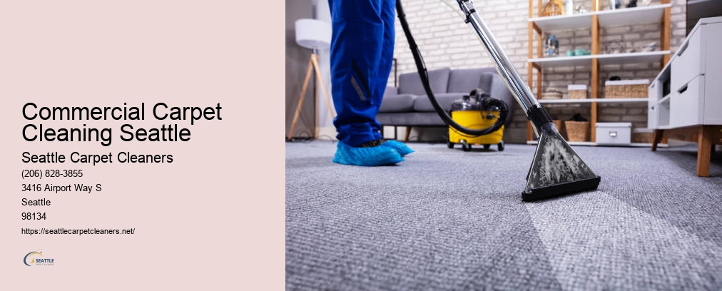 Seattle Rug Cleaning
