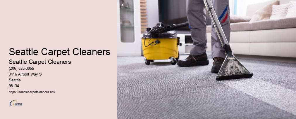 Seattle Rug Cleaning