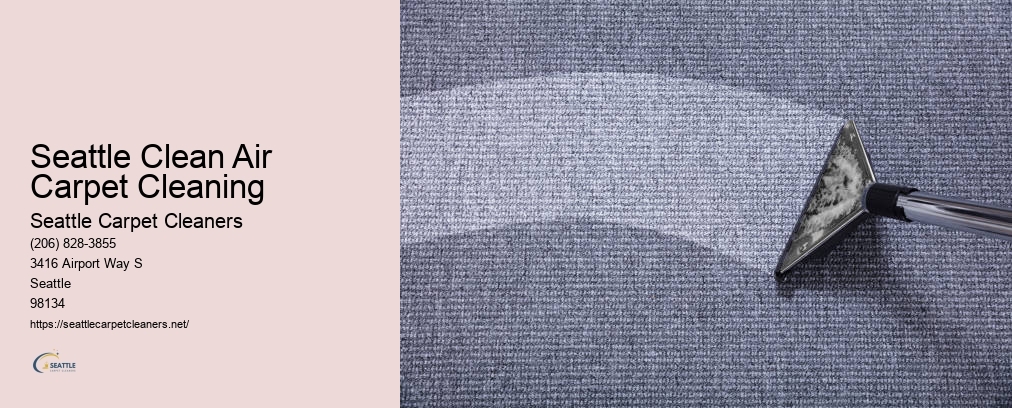 Rug Cleaning Seattle