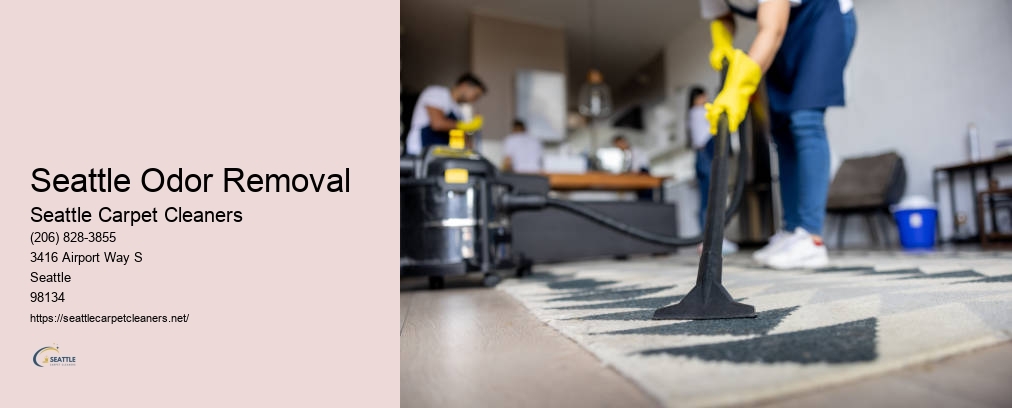 Best Carpet Cleaning Seattle