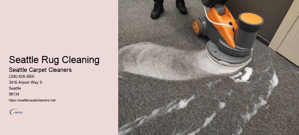 Carpet Cleaners Everett WA