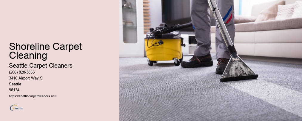 Seattle Carpet Cleaning
