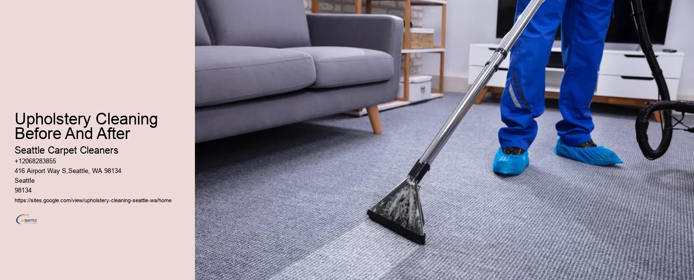 Upholstery Cleaning Before And After